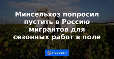 Минсельхоз попросил пустить в Россию мигрантов для сезонных работ в поле