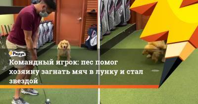 Командный игрок: пес помог хозяину загнать мяч в лунку и стал звездой