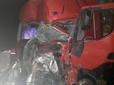 Двое водителей фур погибли в ДТП в Полтавской области