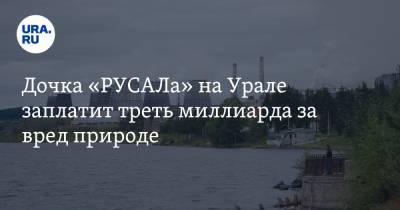 Дочка «РУСАЛа» на Урале заплатит треть миллиарда за вред природе