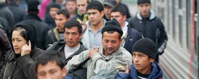 Минсельхоз призвал упростить пропуск мигрантов в РФ для сезонных работ