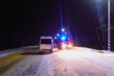 В Тамбовской области произошла авария с маршруткой и грузовиком
