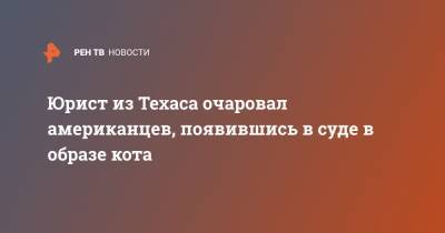 Юрист из Техаса очаровал американцев, появившись в суде в образе кота