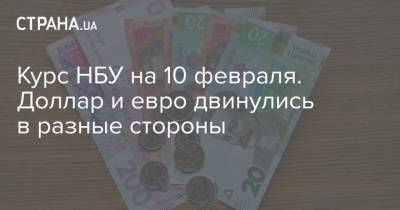 Курс НБУ на 10 февраля. Доллар и евро двинулись в разные стороны