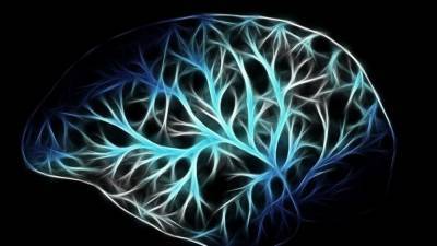 Стволовые клетки мозга могут включить в микрочипы искусственного интеллекта