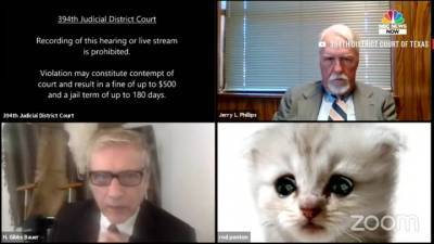 Адвокат принял участие в видеоконференции в виде кота
