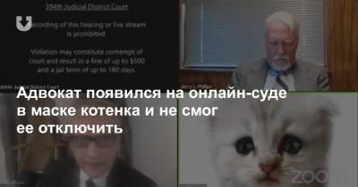 Адвокат появился на онлайн-суде в маске котенка и не смог ее отключить