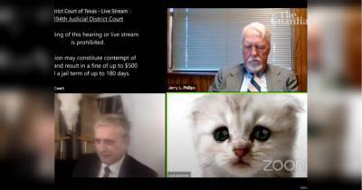 Не смог отключить фильтр: адвокат в образе грустного котенка появился на онлайн-заседании суда