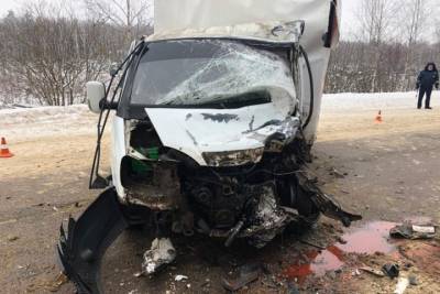 В ДТП с участием двух грузовиков в Касимовском районе пострадали оба водителя