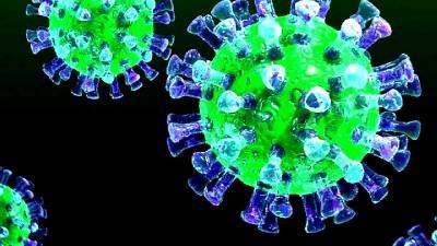 В Смоленской области число заболевших коронавирусом превысило 24000 человек