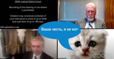 «Я не кот»: адвокат из США предстал в суде в необычном образе