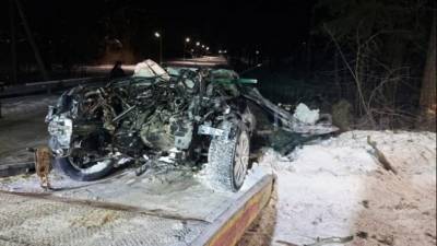 Иномарка врезалась в дерево в Лужском районе Ленобласти – водитель погиб