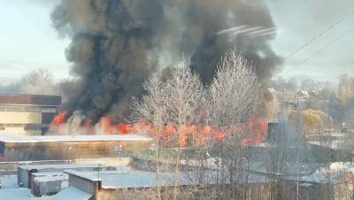 Более 50 спасателей тушат пожар на складе пиломатериалов в Парголово