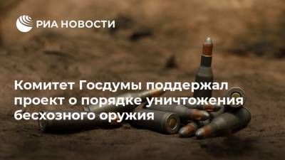 Комитет Госдумы поддержал проект о порядке уничтожения бесхозного оружия