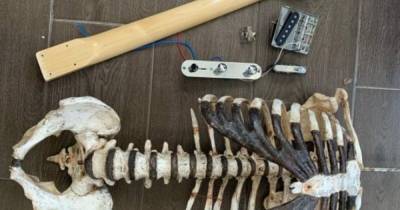 "Скелекастер": американец создал гитару из костей родного дяди (фото, видео)