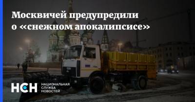 Москвичей предупредили о «снежном апокалипсисе»