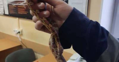 В Калининграде жители одной из квартир нашли в ванной 80-сантиметровую змею