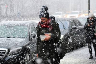 Москвичам предрекли 36-часовой снежный апокалипсис