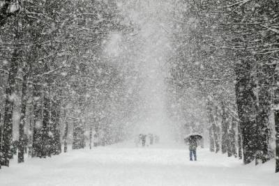 Морозы в Костромской области ослабеют, зато снегопады придут
