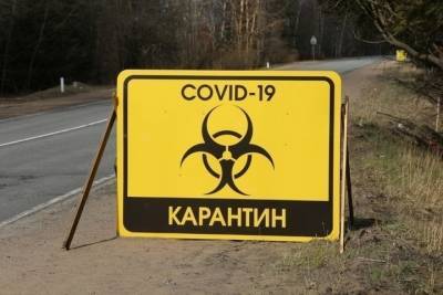 Карантинные ограничения в Костромской области сохранятся и летом