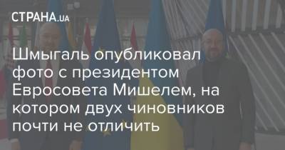 Шмыгаль опубликовал фото с президентом Евросовета Мишелем, на котором двух чиновников почти не отличить