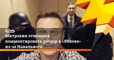 Митрохин отказался комментировать раздор в«Яблоке» из-за Навального