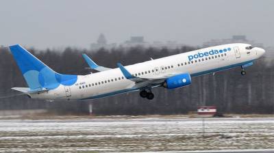 Хулиганы попытались помешать посадке самолета в московском аэропорту