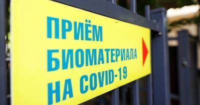 В Калининградской области коронавирус за сутки подтвердился у жителей 19 муниципалитетов (список)