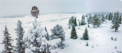 Небольшой снег, гололедица и до 25 градусов мороза ожидаются в Ленобласти 11 февраля