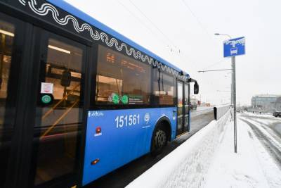 В Москве появится сервис "транспорт-по-требованию"