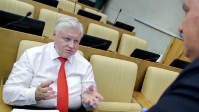 Депутат Миронов назвал способ приравнять пенсии россиян к европейским