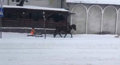 Прокатился с ветерком: на Львовщине коммунальщик убирал снег на лошади – смешное видео
