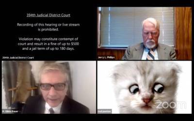 В США прокурор не выключил фильтр в Zoom и принимал участие в суде под видом кота