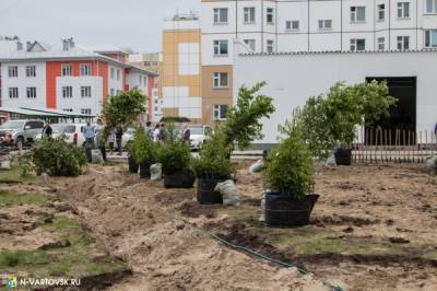 Комитет дорожного хозяйства Челябинска подозревают в сговоре с предпринимателями при озеленении города