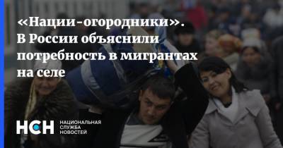 «Нации-огородники». В России объяснили потребность в мигрантах на селе