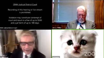"Я не кот": техасский адвокат предстал перед судьей в необычном образе