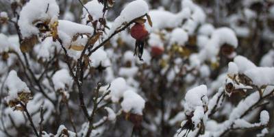 Когда морозы отступят: синоптик назвала дату потепления в Украине