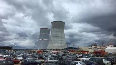 С началом работы БелАЭС торговля электроэнергией с Россией выросла в 3,5 раза – Litgrid