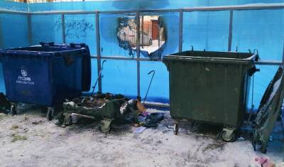 Ошибка или вандализм? В Тюменской области уничтожено полсотни мусорных контейнеров