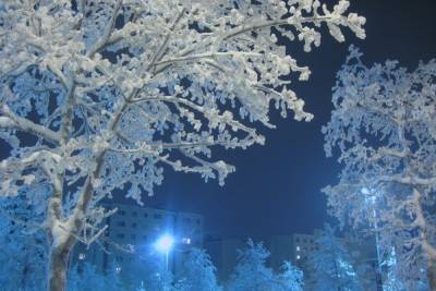 В Удмуртии в ночь на 11 февраля ожидается до -31 градуса мороза