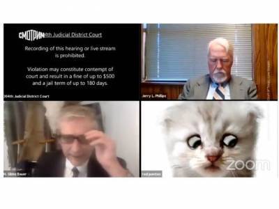 Адвокату из Техаса, запутавшемуся в фильтрах Zoom, пришлось доказывать, что он не кот (видео)
