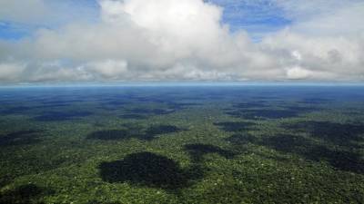 В Амазонии нашли древние оборонительные сооружения