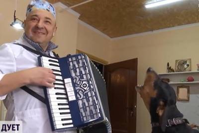 Украинский ветеринар устроил концерт с собакой и стал звездой соцсетей