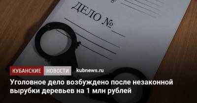 Уголовное дело возбуждено после незаконной вырубки деревьев на 1 млн рублей