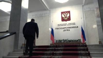 Депутат Госдумы РФ рассказал, кто причастен к фейкам о незаконных акциях