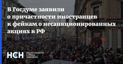 В Госдуме заявили о причастности иностранцев к фейкам о несанкционированных акциях в РФ