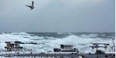 Остров ледяных ветров. Снежный шторм обрушился на датский Борнхольм — фоторепортаж