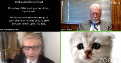 Адвокат из США появился на онлайн-заседание суда с маской милого котенка (видео)