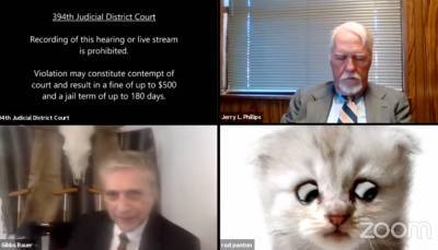 Адвокат не смог выключить фильтр в Zoom и появился на судебном заседании в "обличье" кота: видео