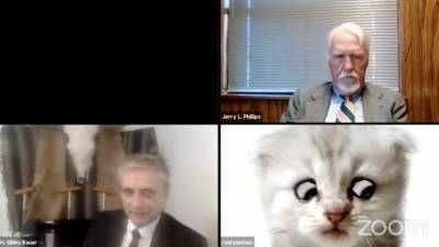 «Я не кот»: американский адвокат подключился к онлайн-заседанию с «кошачьим» фильтром